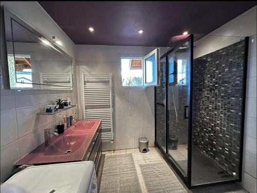 La salle de bains est pourvue d'un lavabo rose et d'une douche. dans l'établissement Charming apartment near Geneva, à Saint-Julien-en-Genevois