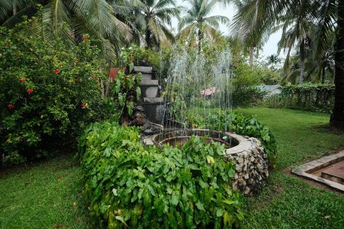 Giardino di Rainforest Resort
