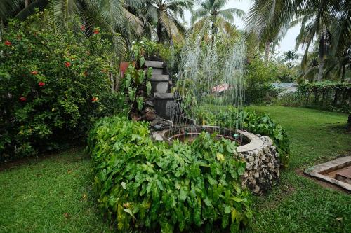 Giardino di Rainforest Resort