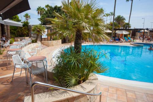 Πισίνα στο ή κοντά στο Corallium Dunamar by Lopesan Hotels - Adults Only