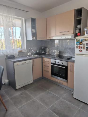 Apartment Lemo