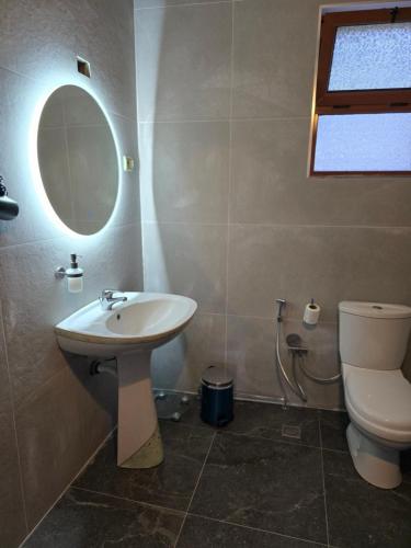 a bathroom with a sink and a toilet and a mirror at Cortina House Berat in Kuçovë