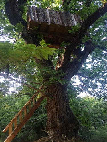 a tree house in a tree at La ferme des Cévennes in Florac Trois Riviere