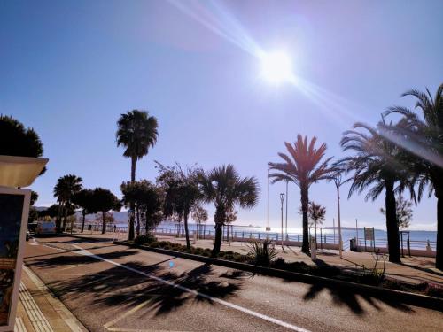 a street with palm trees and the beach at NEW! Sea View studio - Beachfront living in Cannes, Boulevard du Midi - Nouveau! Studio Vue mer, face à la plage, les pieds dans l'eau in Cannes