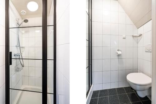 a bathroom with a toilet and a shower at Duinhotel Haga in Zoutelande