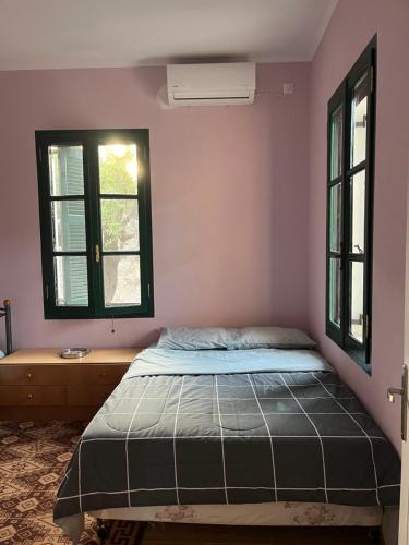 a bedroom with a bed and two windows at Sunshine 2 in Leonidion