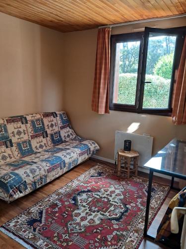 un salon avec un canapé et un tapis dans l'établissement Appartement avec piscine et proche de la plage, à Ondres