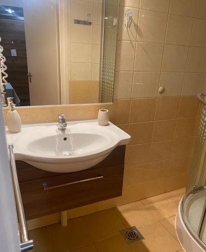 a bathroom with a sink and a mirror at Summer Apartments in Tiszakécske
