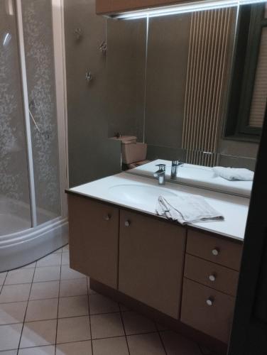 une salle de bain avec un lavabo et un miroir dans l'établissement Les racines, à Haspres
