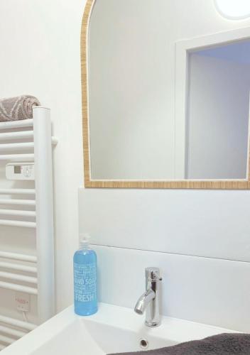 a bathroom with a sink and a mirror at Le Lodge in Fougères