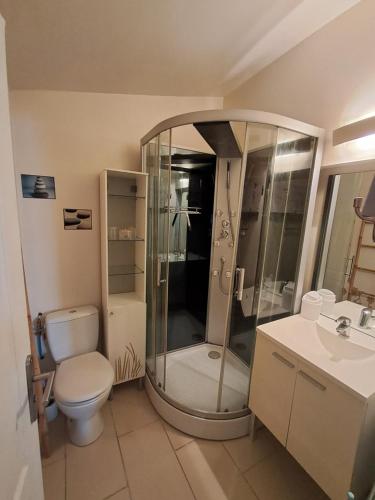 a bathroom with a shower and a toilet and a sink at Studio cosy avec jardin in Jonquières