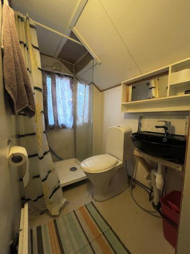 a bathroom with a toilet and a sink at Kyläkaupan Motelli in Räyskälä