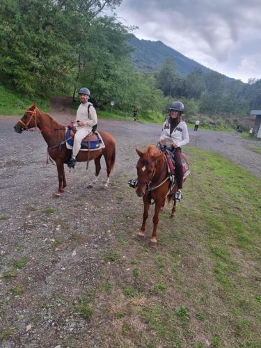 two people are riding horses on a dirt road at Vesuvio Inn Bed & Wine Experience in Boscotrecase