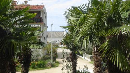 Apartman Maja - 170m od plaže