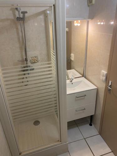une salle de bain avec douche et lavabo dans l'établissement La maisonnette brainoise, à Braine