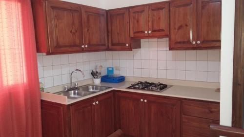 a kitchen with wooden cabinets and a sink at Tropical Caribe in Bayahibe