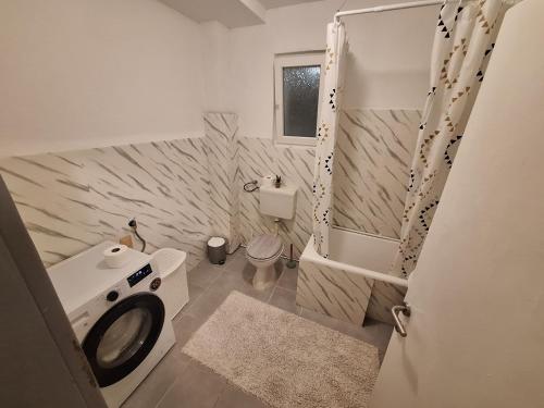 a bathroom with a toilet and a washing machine at Vavic 2 in Topla