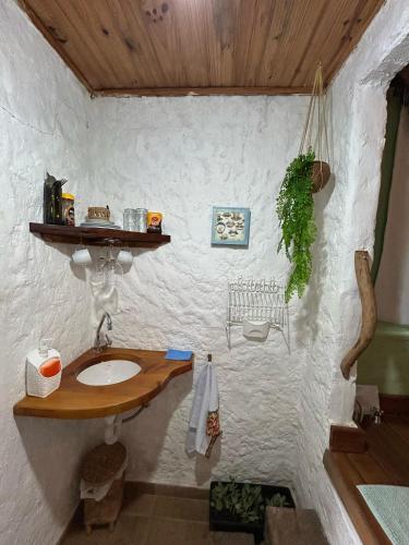 a bathroom with a sink and a wooden ceiling at Vale do Piemonte - Chalé com hidromassagem - in Santo Antônio do Pinhal