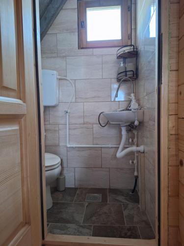a bathroom with a sink and a toilet at Kamp Kruščić - Laništa in Mojkovac
