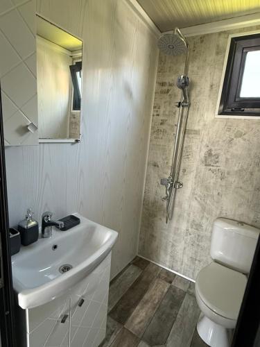 a bathroom with a sink and a toilet and a shower at La Veranda Sinemorets in Sinemorets