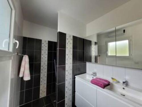 une salle de bain avec un lavabo et un miroir dans l'établissement Villa Jade, à Lasserre-de-Prouille