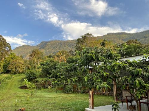 Gallery image of Blackwoods FarmHouse in Beragala