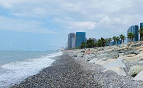a rocky beach with buildings in the background at Boho apartment studio in Batumi