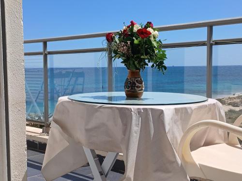 S2 avec magnifique vue sur mer