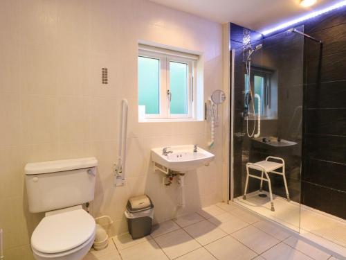 une salle de bain avec toilettes, lavabo et douche dans l'établissement Rookyard Cottage, à Halesworth