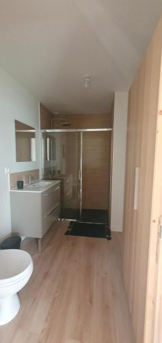 une salle de bain avec une douche, des toilettes et un lavabo dans l'établissement Maisonnette avec jardin, à Guérande