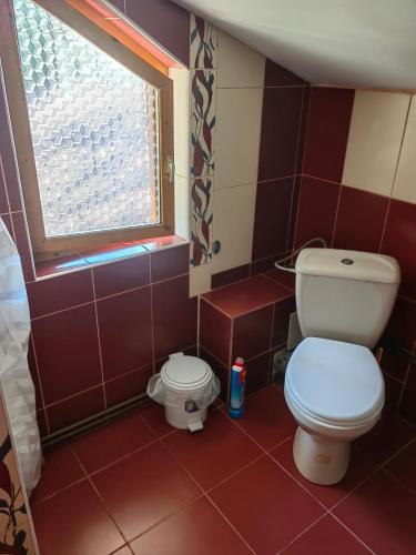 a bathroom with a toilet and a window at Casa bunicilor dor de Bucovina in Câmpulung Moldovenesc