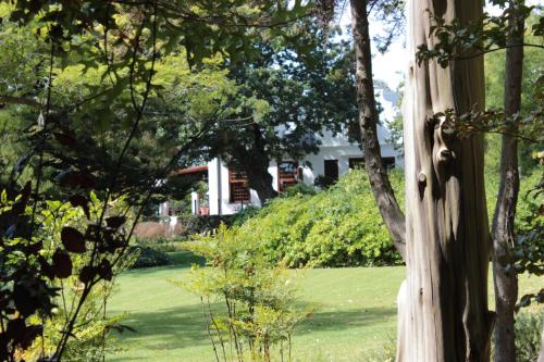 a house seen through the trees in the yard at Vredenburg Manor House in Somerset West