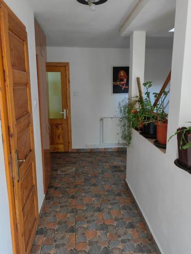 an empty hallway with a door and potted plants at Casa bunicilor dor de Bucovina in Câmpulung Moldovenesc