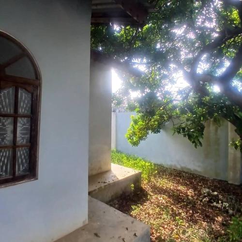 Jardí fora de Faarihah Villa