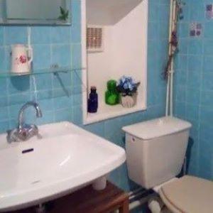 une salle de bain avec un lavabo blanc et des toilettes dans l'établissement Appartement, à Seyne