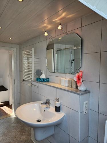 a bathroom with a sink and a mirror at Ferienwohnung Pfotenglück nahe Ostsee mit atemberaubender Dachterrasse & Gartenblick in Mallentin