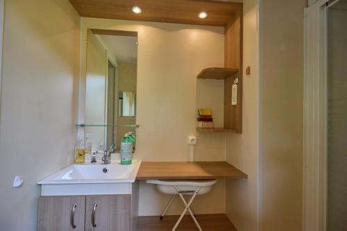 a bathroom with a sink and a mirror at Berges de Canal in Paule