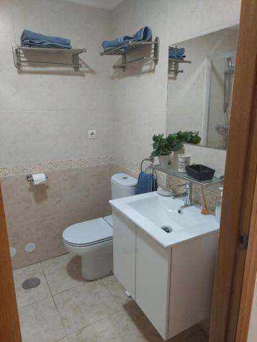 a bathroom with a toilet and a sink and a mirror at Arenales Beach in Arenales del Sol