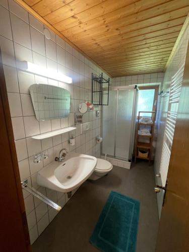 a bathroom with a sink and a toilet and a shower at Landhaus Laura in Leutasch