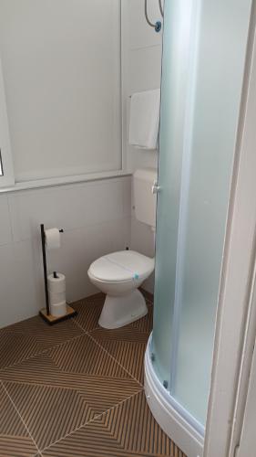 a bathroom with a toilet and a shower at Guesthouse Vrlic in Split