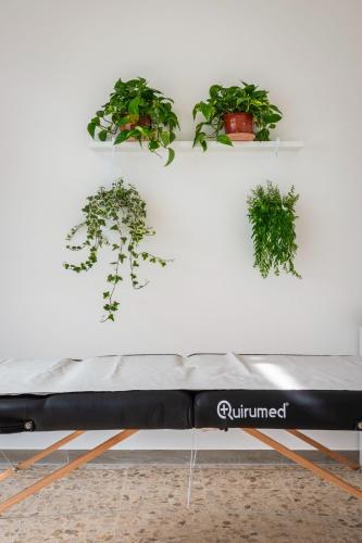 a bench with potted plants on a white wall at Wellness Holiday Home in Brunate
