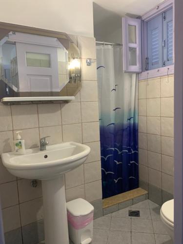 een badkamer met een wastafel en een douche bij Aloe House in Patmos