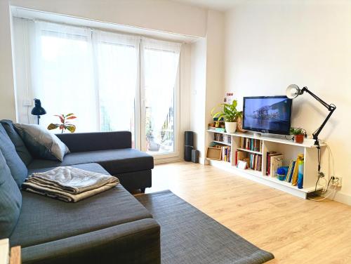 a living room with a couch and a tv at Apartamento 2 habitaciones cerca del puerto de Pasajes in Donostia-San Sebastián