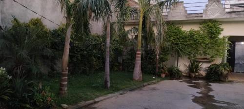 Zahrada ubytování Nitin tyagi homestay