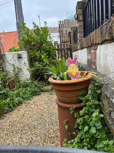 a plant in a flower pot with a pig on it at Saltwick Cottage in Whitby
