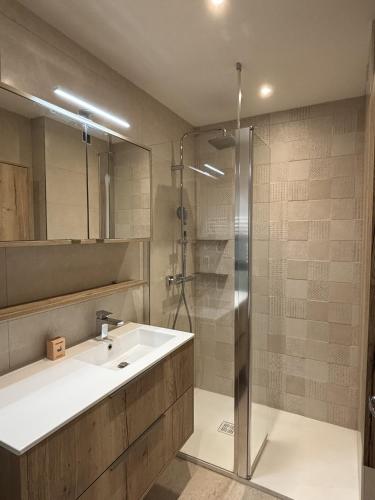 une salle de bain avec un lavabo et une douche dans l'établissement M57*Marquer* T3 proche frontière, à Annemasse
