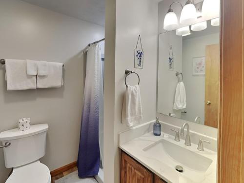 a bathroom with a sink and a toilet and a mirror at Laurel Ridge in McHenry