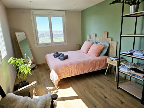 - une chambre avec un lit doté d'oreillers roses et d'une fenêtre dans l'établissement L'Ensoleillé - Central, Wifi & Confort, à Rodez