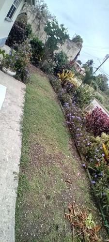 a garden with flowers on the side of a house at Chandler Homestay in Saint Philip
