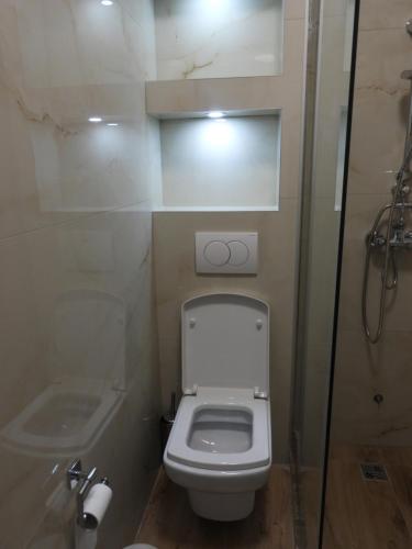 a bathroom with a toilet and a sink and a shower at Boskovic Apartments in Podgorica